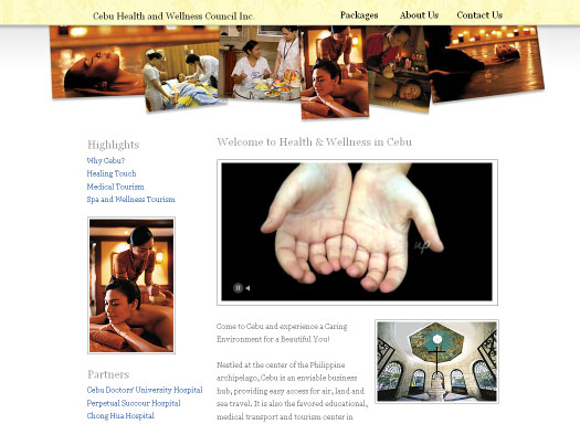 Cebu Health and Wellness Council